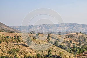 Arid terrain in extremely hot weather in  provinces in the northeastern region of Thailand