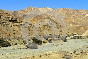 Arid valley in the Afara Province