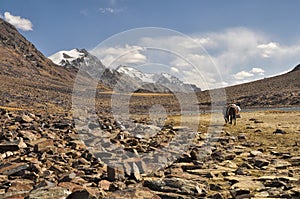 Arid valley in Tajikistan