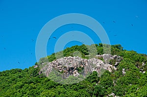 Tropical granite rock hill with clear sky photo