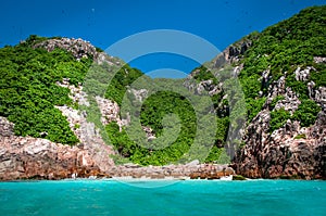 Tropical coastline with blue water and clear sky