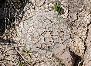 Aridisols, desert soils