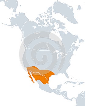 Aridoamerica map, ecoregion of dry and arid climate in North America photo