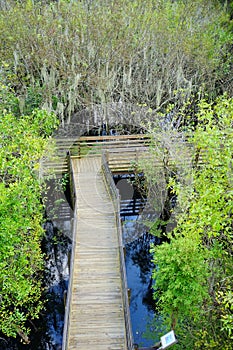 Arieal view of A boardwalk in swamp