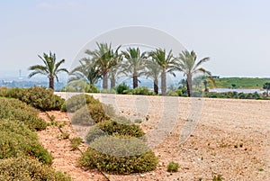 Ariel Sharon park , Israel