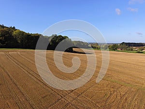 Ariel view of Sussex farmland.