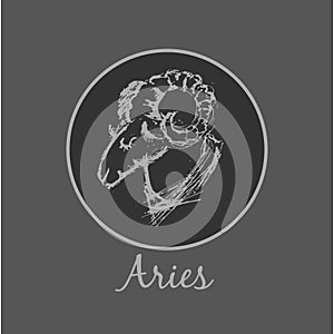 Aries Astrological zodiac symbol. Horoscope sign.