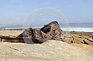 Aristea Ship Wreck on Westcoast South Africa