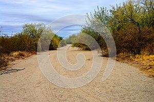 Arizona Desert Arroyo photo