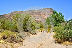 Arizona Desert Arroyo photo