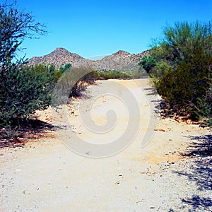 Arizona Desert Arroyo on Film photo