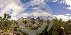 Arizona desert cactus and mountains landscape