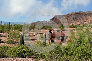 Arizona Desert classic car cactus Route 66