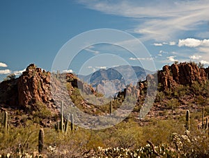 Arizona Desert Landscape