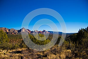 Arizona desert landscape