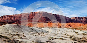 Arizona Desert Landscape