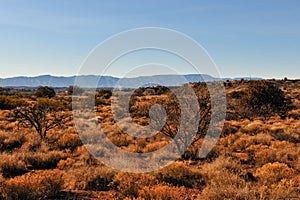 Arizona desert landscape