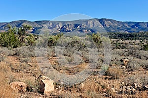 Arizona desert landscape