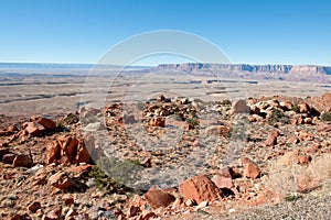 Arizona desert landscape