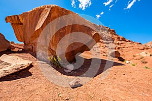 Arizona desert landscape