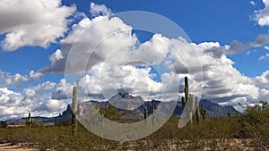 Arizona desert landscape with fluffy white clouds