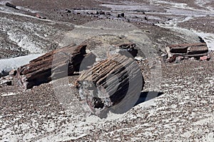 Arizona Desert Landscape with Old Petrified Logs