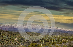 Arizona desert landscape with saguaro cactus at sunset with snow covered mountains