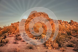 Arizona desert landscape with sun setting