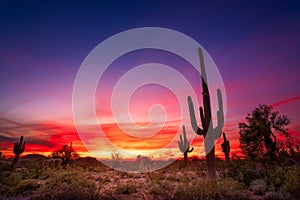 Arizona desert landscape at sunset