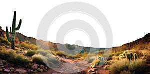 Arizona desert landscape. transparent PNG. cacti, cactus, agave. cholla, ocotillo, yucca, century plant