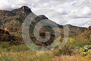 Arizona Desert Mountains in Tonto National Forest photo