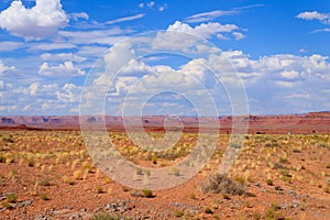 Arizona desert panorama