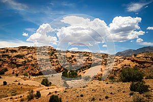 Arizona Desert Scene