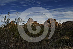 Arizona desert springtime 1