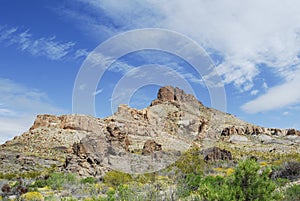 Arizona desert springtime 12