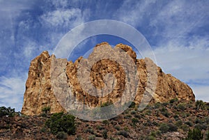 Arizona desert springtime 4