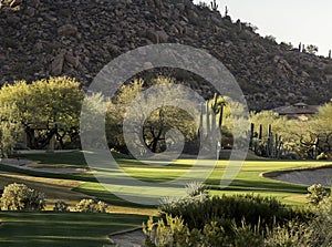 Arizona desert style golf course community setting