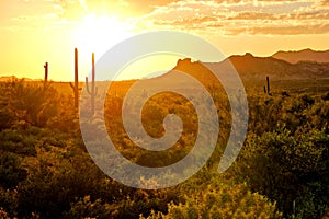 Arizona desert sunset