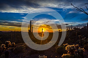 Arizona Desert Sunset