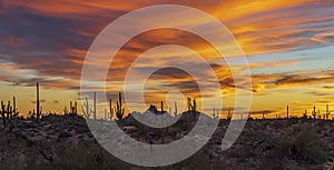 Arizona Desert Sunset Landscape With Saguaro Cactus