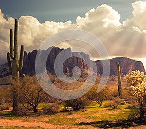 Arizona desert wild west landscape