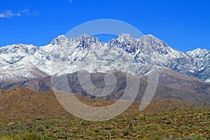  Arizona, Four Peaks Wilderness: Snow on Four Peaks