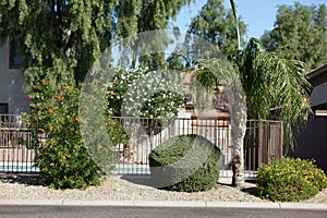 Arizona Front Yard