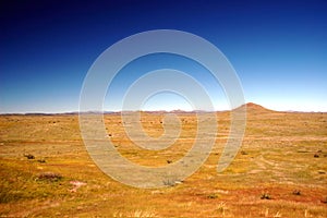 Arizona Grasslands