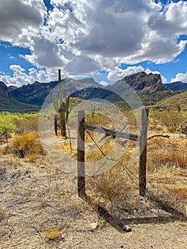 Arizona Landscape: Fence cactus mountains Desert clouds