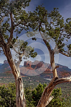 Arizona Landscape Sedona
