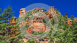 Arizona Landscape Sedona