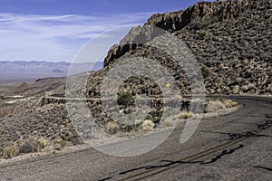 Arizona landscape in summer