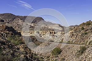 Arizona landscape in summer