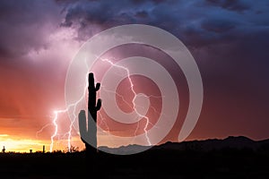 Arizona lightning in the desert at sunset